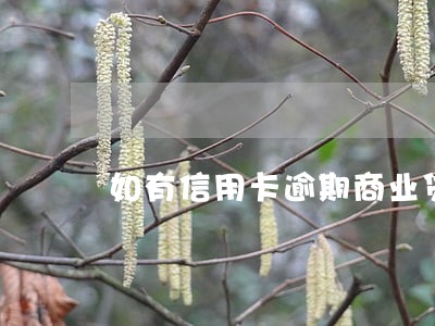 如有信用卡逾期商业贷款 如有信用卡逾期商业贷款