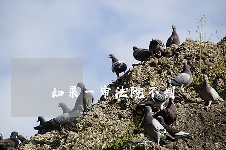 如果一审法院不判 如果一审法院不判