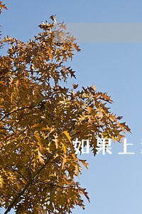 如果上逾期怎么恢复信用 如果上逾期怎么恢复信用