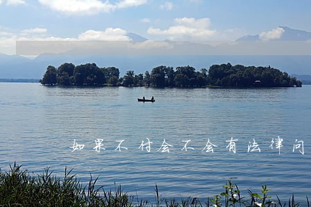 如果不付会不会有法律问题 如果不付会不会有法律问题