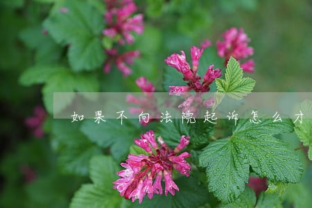如果不向法院起诉怎么才能要回 如果不向法院起诉怎么才能要回