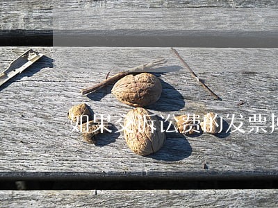如果交诉讼费的发票掉了