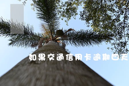如果交通信用卡逾期四天