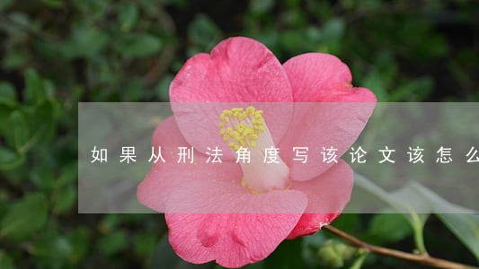 如果从刑法角度写该论文该怎么写 如果从刑法角度写该论文该怎么写