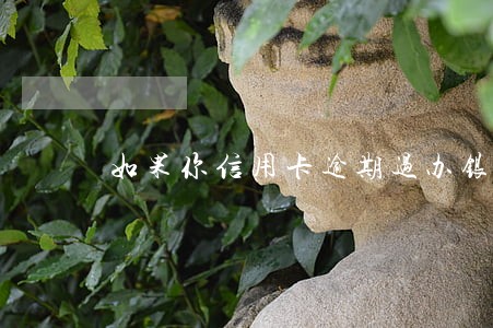 如果你信用卡逾期过办银行卡有关系吗 如果你信用卡逾期过办银行卡有关系吗