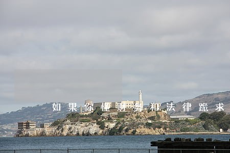 如果你懂财务和法律跪求请教 如果你懂财务和法律跪求请教