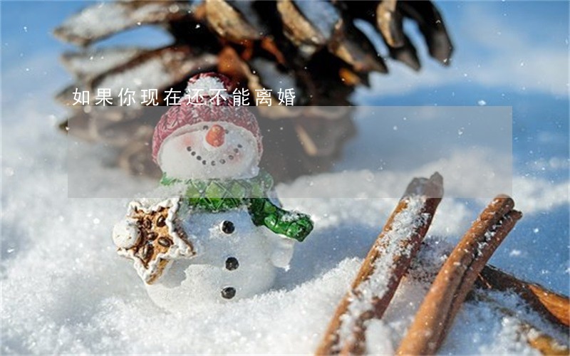 如果你现在还不能离婚 如果你现在还不能离婚