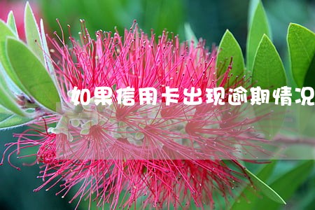 如果信用卡出现逾期情况