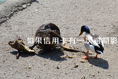 如果信用卡有一次逾期影响 如果信用卡有一次逾期影响