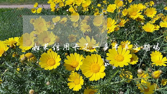 如果信用卡还一多半算逾期吗 如果信用卡还一多半算逾期吗
