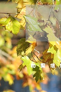 如果信用卡逾期90天会怎样 如果信用卡逾期90天会怎样
