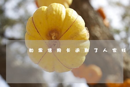 如果信用卡逾期了人家找上门了 如果信用卡逾期了人家找上门了