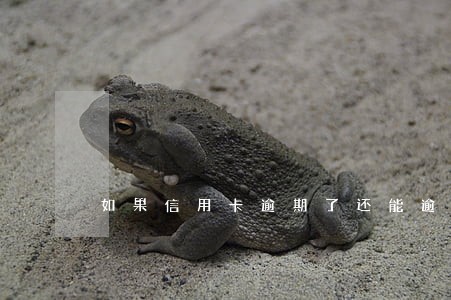 如果信用卡逾期了还能逾支吗