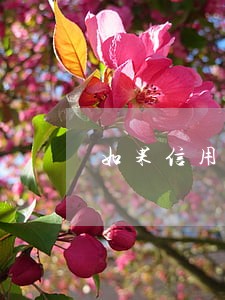如果信用卡逾期五六天怎么办