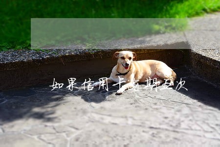 如果信用卡逾期五次 如果信用卡逾期五次