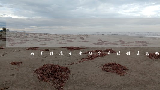 如果信用卡逾期会有短信通知吗 如果信用卡逾期会有短信通知吗