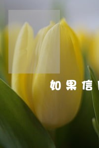 如果信用卡逾期四个月还清 如果信用卡逾期四个月还清