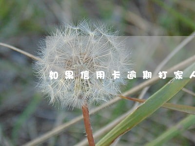 如果信用卡逾期打家人电话 如果信用卡逾期打家人电话