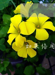 如果信用卡逾期超过5年 如果信用卡逾期超过5年