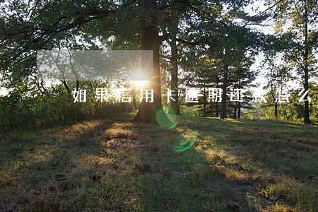 如果信用卡逾期还款怎么算利息 如果信用卡逾期还款怎么算利息