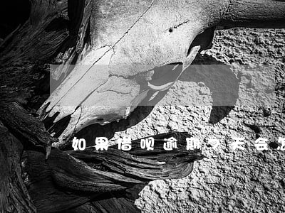 如果借呗逾期7天会怎样 如果借呗逾期7天会怎样