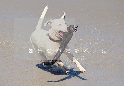 如果公布嫖娼不违法