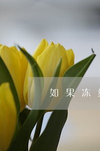 如果冻结我的农业银行卡