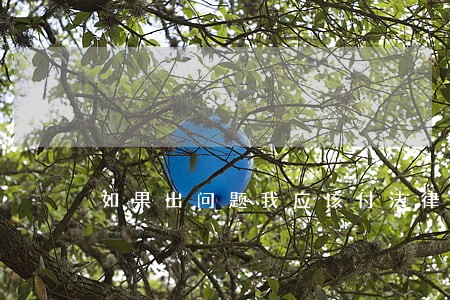 如果出问题我应该付法律责任吗 如果出问题我应该付法律责任吗