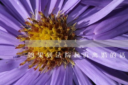 如果到法院起诉离婚的话 如果到法院起诉离婚的话