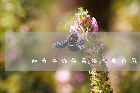 如果办协议离婚需要去几次 如果办协议离婚需要去几次