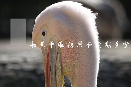 如果单张信用卡逾期多少 如果单张信用卡逾期多少