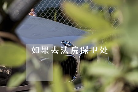 如果去法院保卫处 如果去法院保卫处