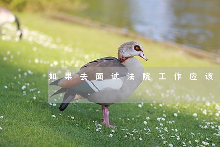 如果去面试法院工作应该准备什么 如果去面试法院工作应该准备什么