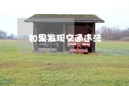 如果发现交通违法 如果发现交通违法