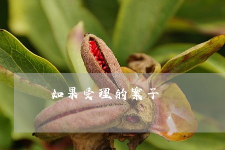 如果受理的案子