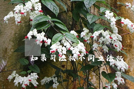 如果司法权不同立法权
