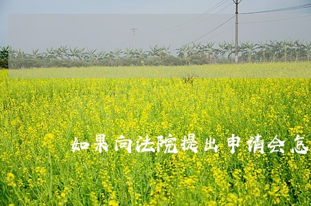 如果向法院提出申请会怎么判决 如果向法院提出申请会怎么判决