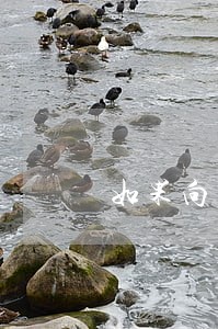 如果向法院提起申诉费 如果向法院提起申诉费