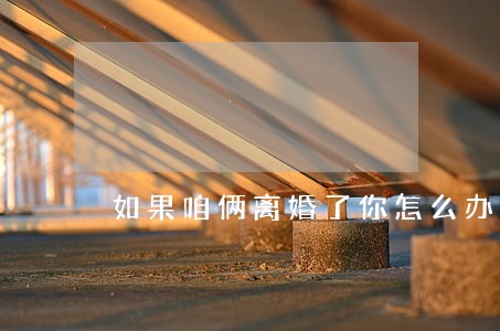 如果咱俩离婚了你怎么办 如果咱俩离婚了你怎么办
