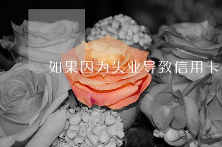 如果因为失业导致信用卡逾期