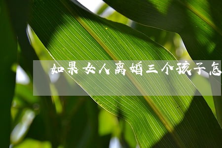 如果女人离婚三个孩子怎么分 如果女人离婚三个孩子怎么分
