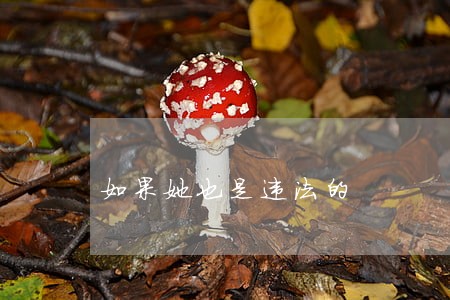 如果她也是违法的 如果她也是违法的