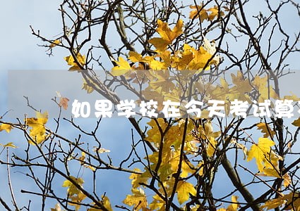 如果学校在今天考试算不算违法 如果学校在今天考试算不算违法