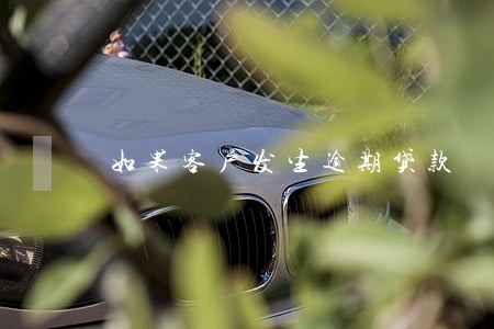 如果客户发生逾期贷款 如果客户发生逾期贷款