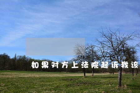 如果对方上法院起诉我该怎么办 如果对方上法院起诉我该怎么办