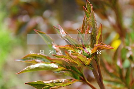 如果对方不受诉讼 如果对方不受诉讼
