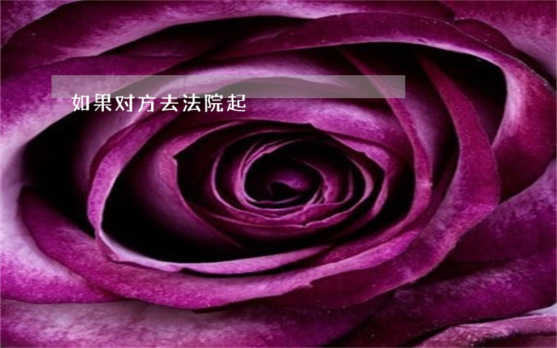 如果对方去法院起 如果对方去法院起