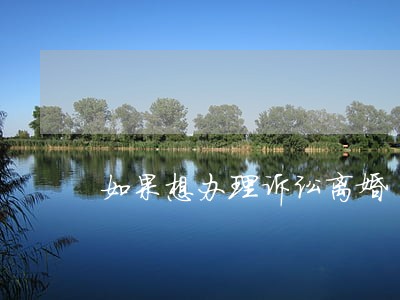 如果想办理诉讼离婚 如果想办理诉讼离婚