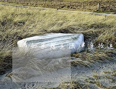 如果想走法律途径追回 如果想走法律途径追回