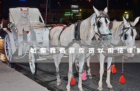 如果我有罪你可以用法律制裁我 如果我有罪你可以用法律制裁我